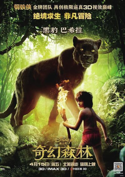 望城区不动产登记信息查询证明